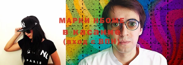 прущие грибы Елизово