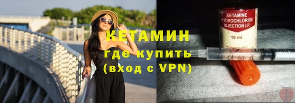 прущие грибы Елизово