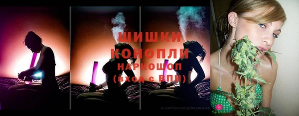 прущие грибы Елизово