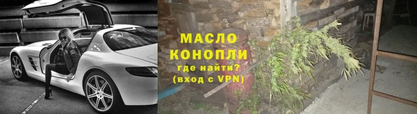 прущие грибы Елизово