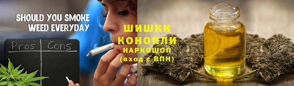 прущие грибы Елизово