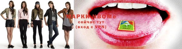 прущие грибы Елизово
