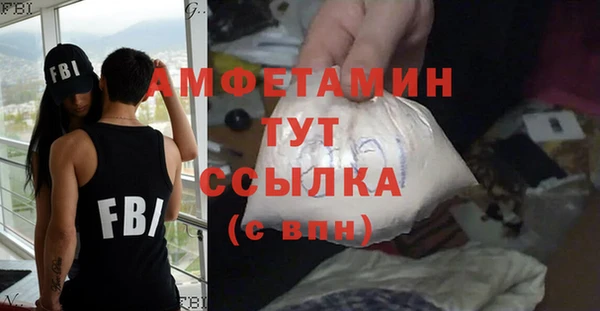 прущие грибы Елизово