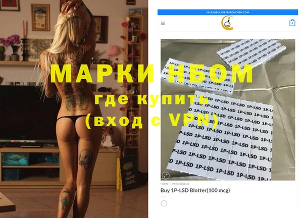 прущие грибы Елизово
