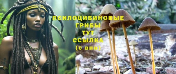 ALPHA-PVP Елабуга