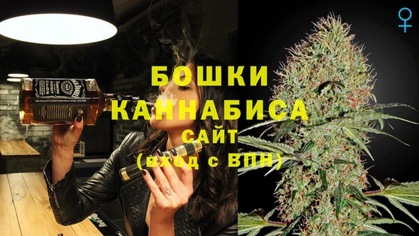 прущие грибы Елизово