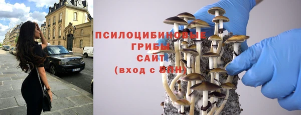 гидра Янаул