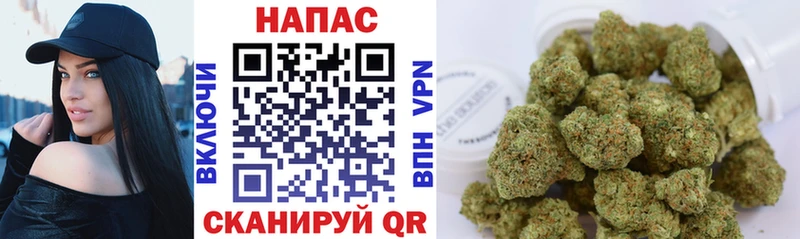 Канабис Amnesia  Данилов 